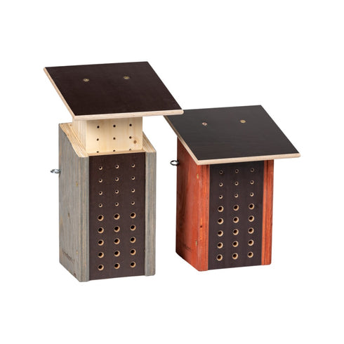 Erakkomaja- erakkomehiläiselle ja sitä pienemmille pistiäislajeille - Harmaa